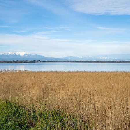 Apartment Artimon By Interhome Canet-en-Roussillon Eksteriør bilde